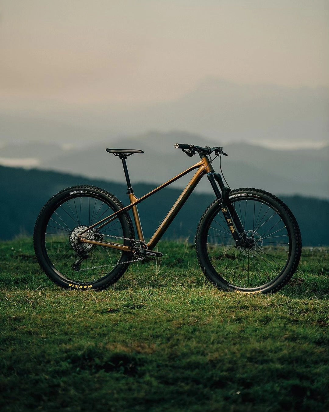 Orbea Laufey H10 2025