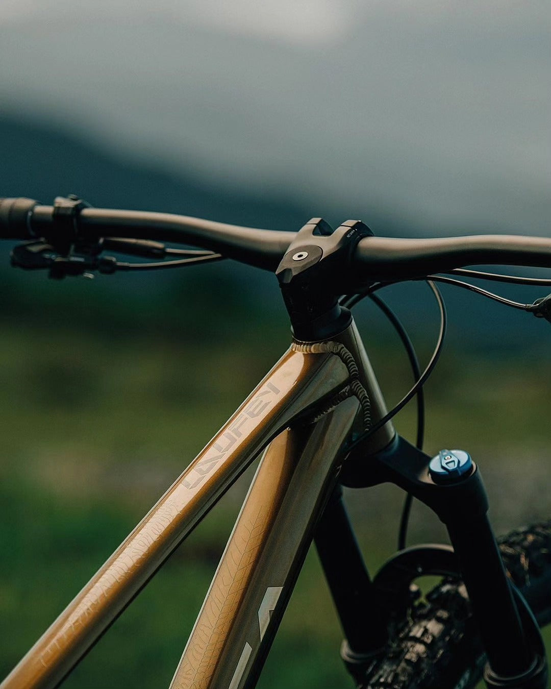 Orbea Laufey H10 2025