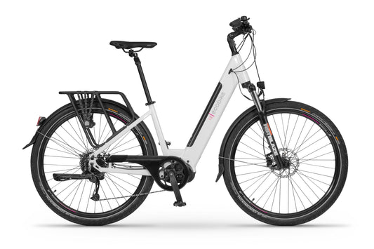 Ecobike LX300